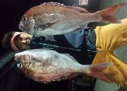 ディープ オーシャン 釣果