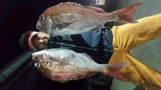 ディープ オーシャン 釣果