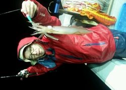 ディープ オーシャン 釣果