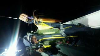 ディープ オーシャン 釣果