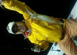 ディープ オーシャン 釣果