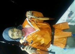 ディープ オーシャン 釣果