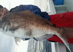 ディープ オーシャン 釣果