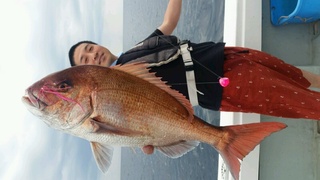 ディープ オーシャン 釣果