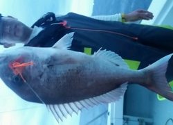 ディープ オーシャン 釣果