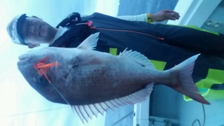 ディープ オーシャン 釣果