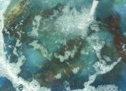 ディープ オーシャン 釣果