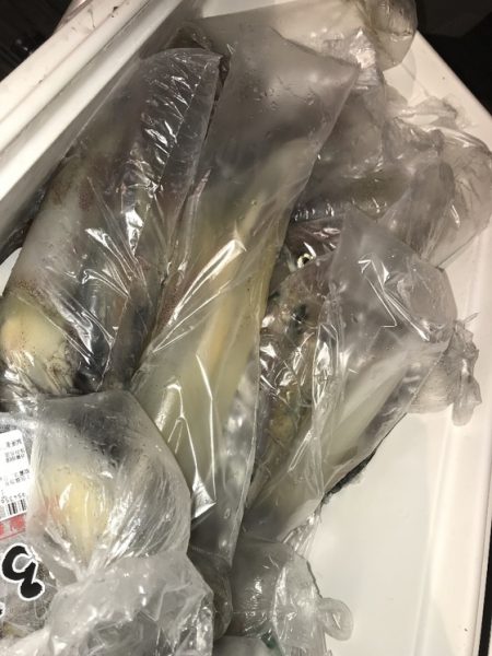 寿裕 （YOSHIHIRO） 釣果