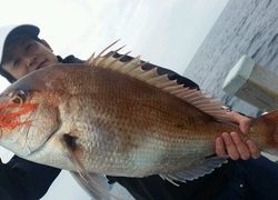 ディープ オーシャン 釣果