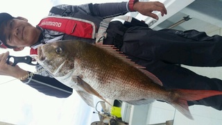 ディープ オーシャン 釣果