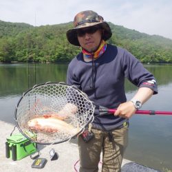 フィッシングレイクたかみや 釣果