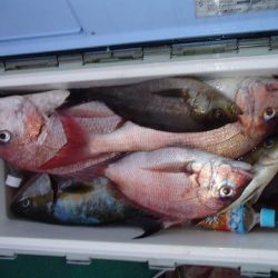 第二むつ漁丸 釣果