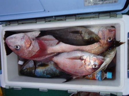 第二むつ漁丸 釣果