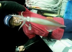 ディープ オーシャン 釣果