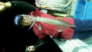 ディープ オーシャン 釣果