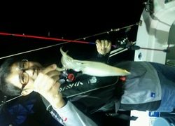 ディープ オーシャン 釣果