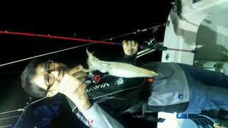 ディープ オーシャン 釣果