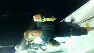 ディープ オーシャン 釣果