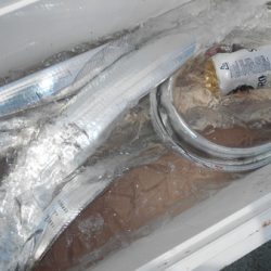 こうゆう丸 釣果