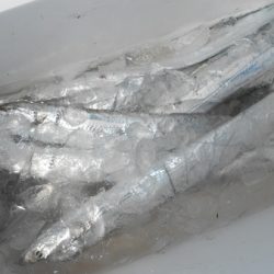 こうゆう丸 釣果