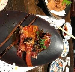ことぶき丸 釣果