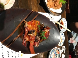 ことぶき丸 釣果