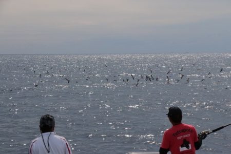 へいみつ丸 釣果