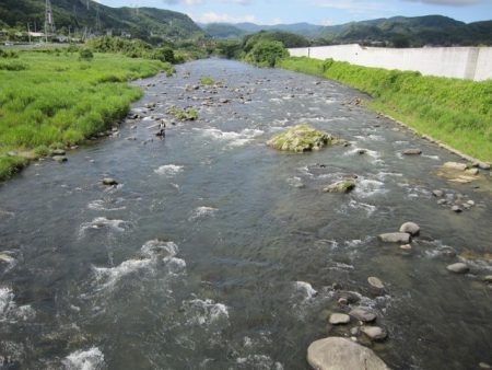 狩野川(狩野川漁業協同組合) 釣果