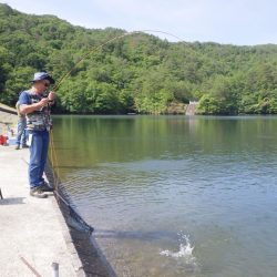 フィッシングレイクたかみや 釣果