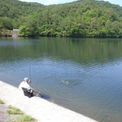 フィッシングレイクたかみや 釣果