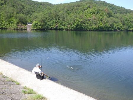 フィッシングレイクたかみや 釣果