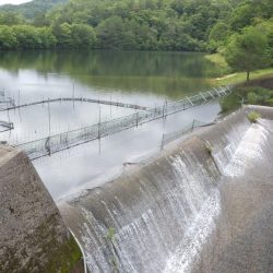 フィッシングレイクたかみや 釣果
