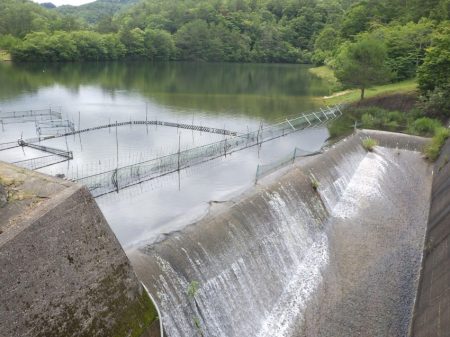 フィッシングレイクたかみや 釣果