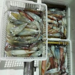 第二大福丸 釣果