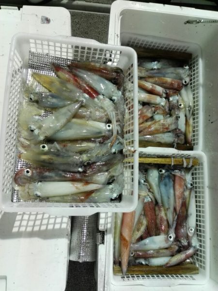 第二大福丸 釣果