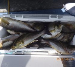石川丸 釣果