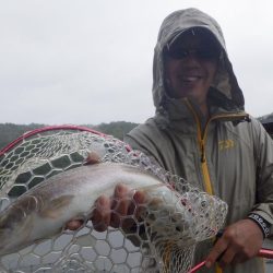 フィッシングレイクたかみや 釣果