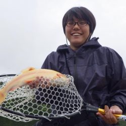 フィッシングレイクたかみや 釣果