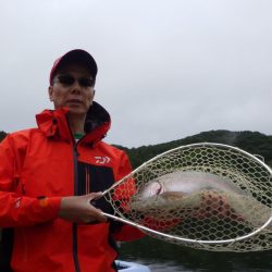 フィッシングレイクたかみや 釣果