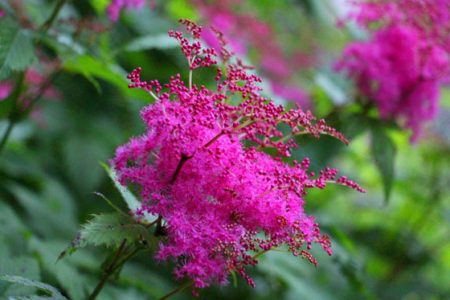 小菅トラウトガーデン 釣果