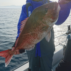 遊漁船ブルーウッズ 釣果