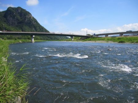 狩野川(狩野川漁業協同組合) 釣果