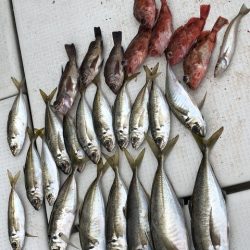 第二辰丸 釣果