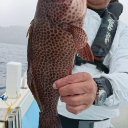 海晴丸 釣果