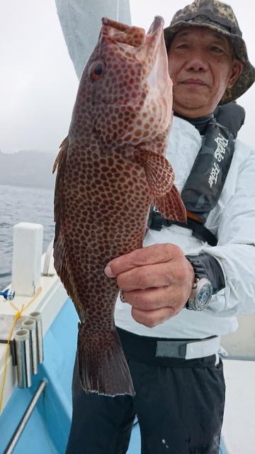 海晴丸 釣果
