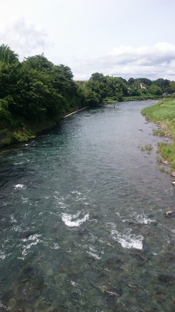 狩野川(狩野川漁業協同組合) 釣果