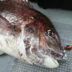 IDATEN（イダテン） 釣果