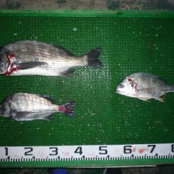 海山フィッシングセンター 釣果