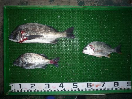 海山フィッシングセンター 釣果