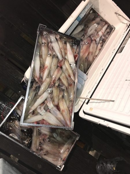 寿裕 （YOSHIHIRO） 釣果